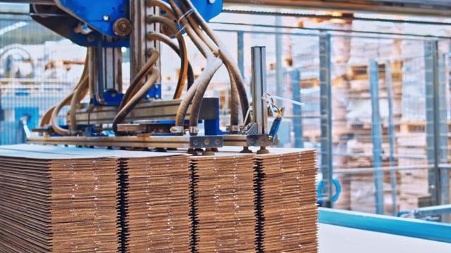 Case Study — Wyniki kampanii